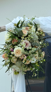 image7_5